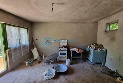 Casă individuală cu 5 camere cu Garaj în Blejoi - 11