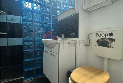 Apartament cu 2 camere decomandat în Podu Roș - 11