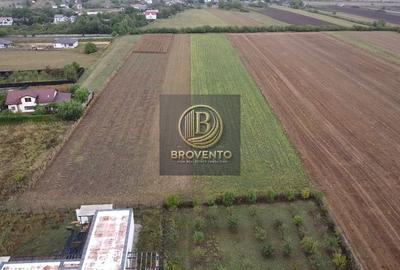 Teren Construcții intravilan de 12000 mp, în Moara Vlăsiei - 6