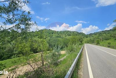 Teren de 2910 mp, în Hangu - 19