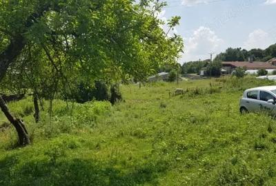 Teren de 5000 mp, în Mușcel - 3