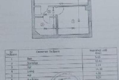 Apartament cu 2 camere semidecomandat, mobilat în Băneasa - 15