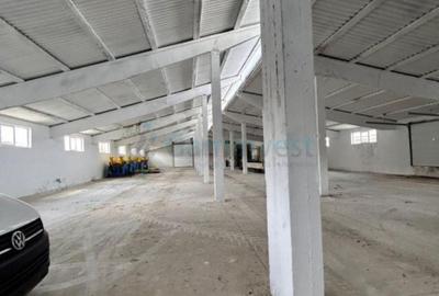 Spațiu comercial, de 1,877 mp, în Borș - 4