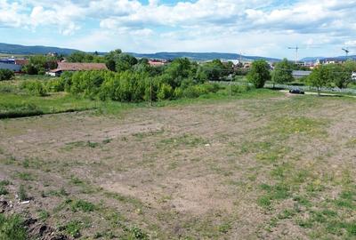 Teren Construcții intravilan de 5000 mp, în Lunca Oltului - 2