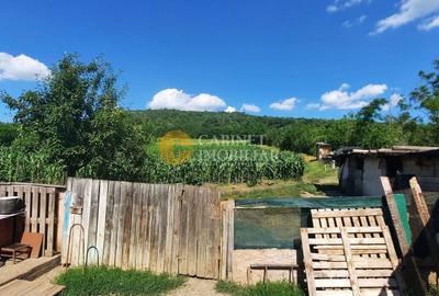 Casă individuală cu 2 camere cu Canalizare în Totoești - 8
