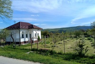 Casă cu 3 camere cu Teren 1600 Mp în Crâmpotani - 6