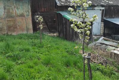 Casă cu 2 camere cu Teren 960 Mp în Ardeova - 2