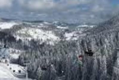 Teren de 60000 mp, în Prislop - 3