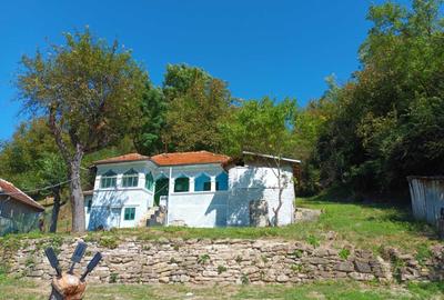 Casă cu 4 camere cu Teren 8000 Mp în Bozioru