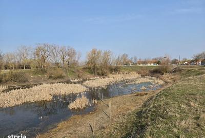 Teren de 30600 mp, în Sacoșu Turcesc - 4