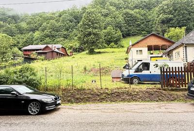 Teren Construcții intravilan de 6200 mp, în Tăuții-Măgherăuș - 3