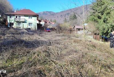 Teren de 3000 mp, în Central - 6