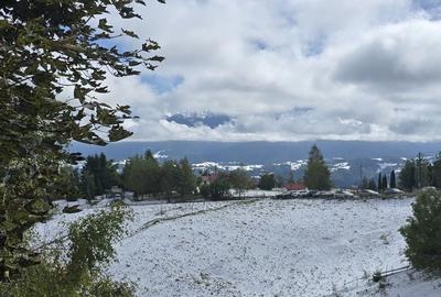 Teren de 12000 mp, în Peștera - 7