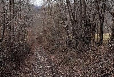 Teren agricol extravilan de 9826 mp, în Aluniș - 6