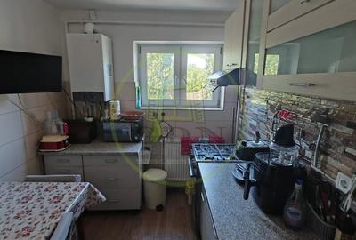 Apartament cu 2 camere semidecomandat, mobilat în Brazda lui Novac - 4