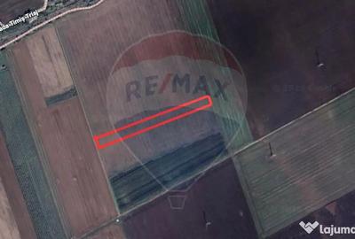 Teren de 5876 mp, în Hărman - 4