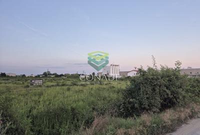 Teren Construcții intravilan de 23943 mp, în Exterior Sud - 4