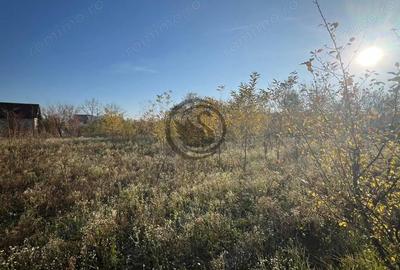 Teren de 12650 mp, în Ghirdoveni - 6