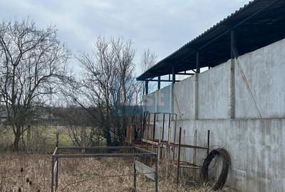 Spațiu industrial, de 82 mp, în Drăguțești - 4
