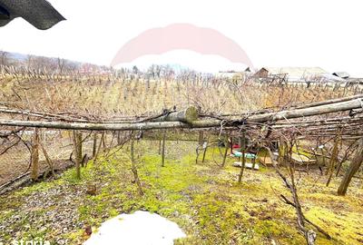 Casă cu 3 camere cu Teren 913 Mp în Gârleni - 2