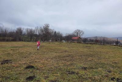 Teren de 11300 mp, în Runcu