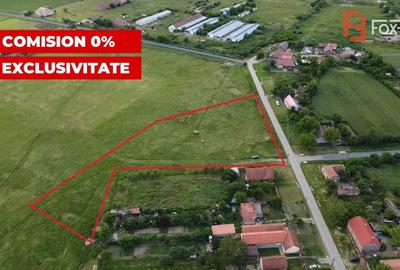 Teren Construcții intravilan de 6400 mp, în Pădureni (Jebel) - 2