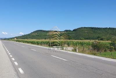 Teren de 5800 mp, în Șieu