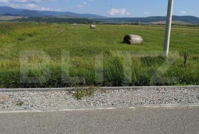 Teren de 18300 mp, în Central