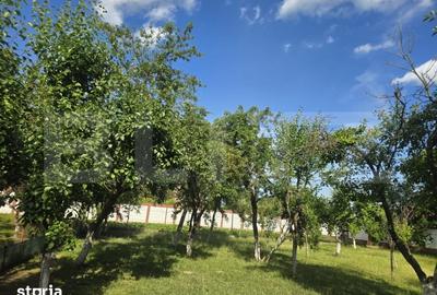 Teren de 1700 mp, în Târgșoru Vechi - 6