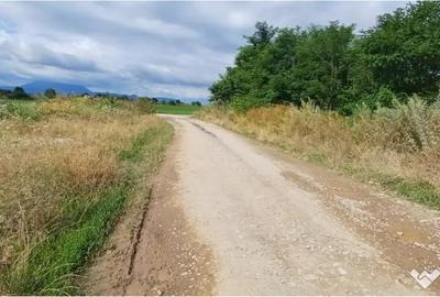 Teren în Hărman