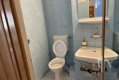 Apartament cu 3 camere decomandat în Dosu Bricii - 4