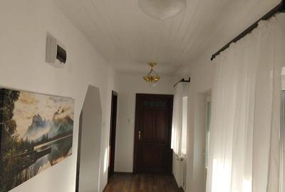 Casă cu 5 camere cu Teren 3885 Mp în Vermeș - 14