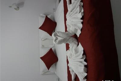 Apartament cu 2 camere decomandat în Sinaia - 3