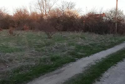 Teren de 3200 mp, în Cocu - 1