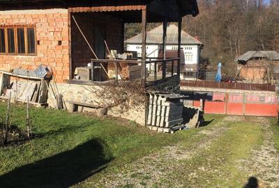 Spațiu comercial, în Slătioara - 3