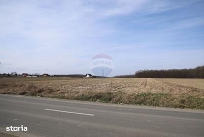 Teren de 9740 mp, în Bosanci - 7