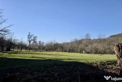 Teren de 4549 mp, în Gura Vitioarei - 10