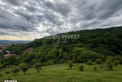 Teren de 310 mp, în Micești