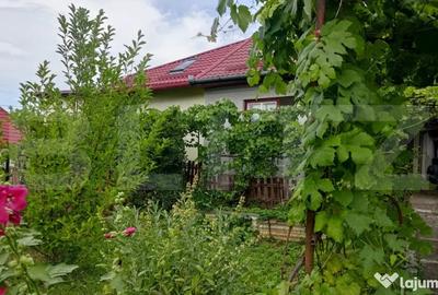Teren în Gruia