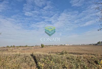 Teren Construcții intravilan de 13518 mp, în Odăi - 4