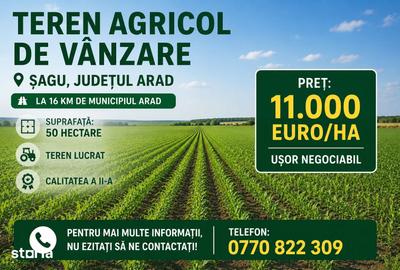 Teren de 10000 mp, în Șagu