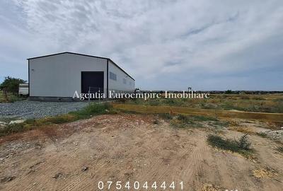 Teren de 2281 mp, în Lumina - 2