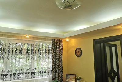 Apartament cu 2 camere semidecomandat în Central - 9