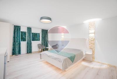 Hotel/Pensiune, de 377.5 mp, în Plaiul Foii