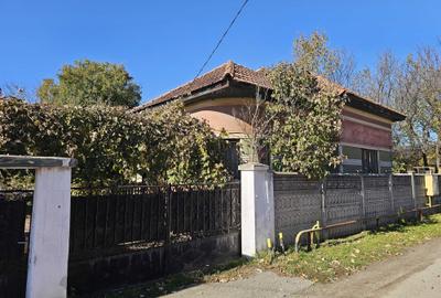 Casă cu 3 camere în Petreni