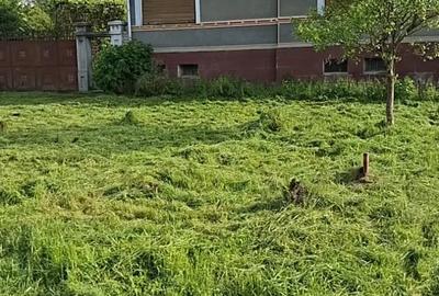Casă cu 3 camere cu Teren 2650 Mp în Calbor