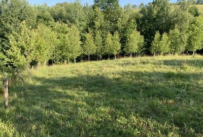 Teren de 4069 mp, în Poiana Mărului - 1