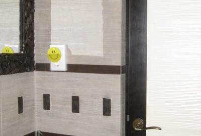 Apartament cu 2 camere decomandat în Turnișor - 4