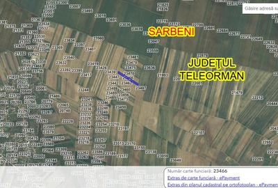 Teren agricol extravilan de 5000 mp, în Sârbeni - 2