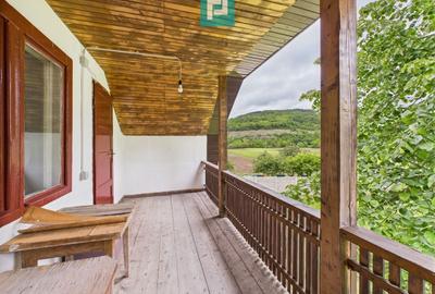 Casă individuală cu 3 camere cu Teren 2914 Mp în Gurahonț - 10